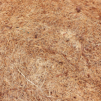 Nomo Reptile Supplies Coconut Palm Mat Material Star Dust-Free Reptile Box Landscaping - Dog Hugs Cat