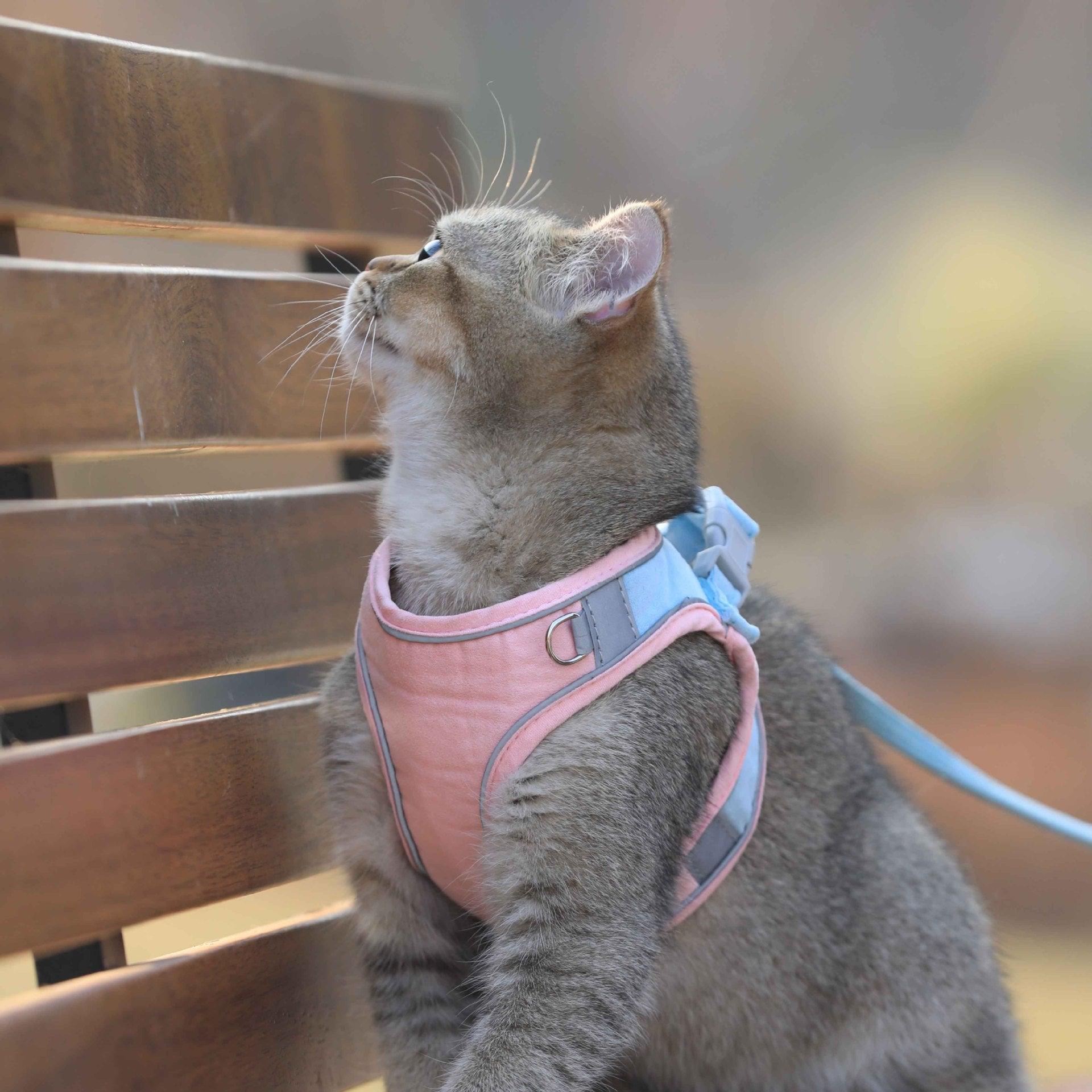 Cat Traction Rope Home Vest-Style Chest Harness Cute Anti-Stroke Cat Walking Rope - Dog Hugs Cat