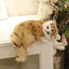 Realistic Cat Plush Toys Simulation Cat Doll Model Kids Gift Birthday Xmas Present Table Home Decor - Dog Hugs Cat