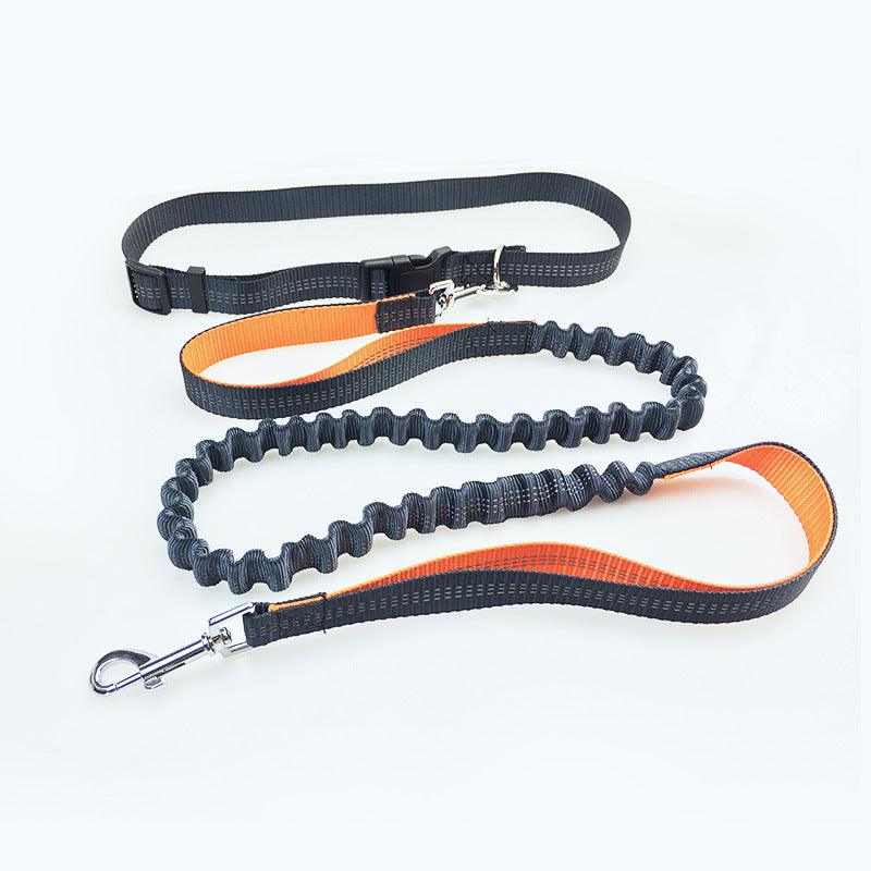 Pet Supplies Dog Running Pull Dog Leash - Dog Hugs Cat