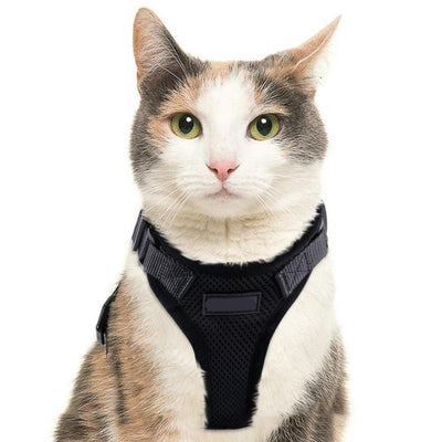 Pawprowl-Walking Cat Harness - Dog Hugs Cat