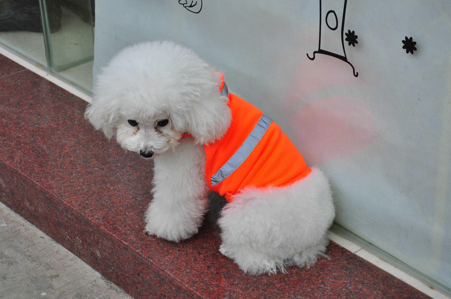 Summer Pet Clothing Dog Reflective Clothing Work Dog Safety Clothing - Dog Hugs Cat