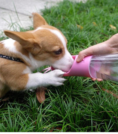 Dog Water Bottle Portable Pet Water Bottle Leak Proof Dog Water Dispenser And Food, Lightweight Dog Travel Water Bottle Bowl For Walking And Travel - Dog Hugs Cat