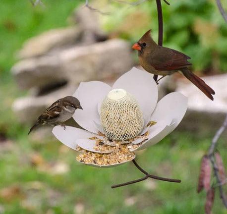 Garden Petal Shape Bird Feeder - Dog Hugs Cat