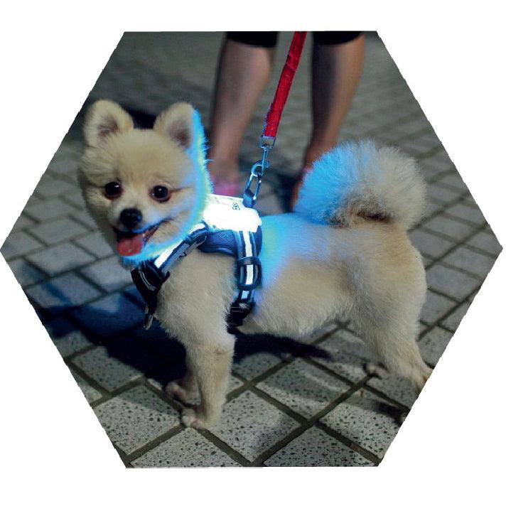 Led Pet Dog Luminous Collar Usb Rechargeable Silicone Collar Luminous Dog Neck Teddy Golden Retriever Large, Medium And Small Collar - Dog Hugs Cat