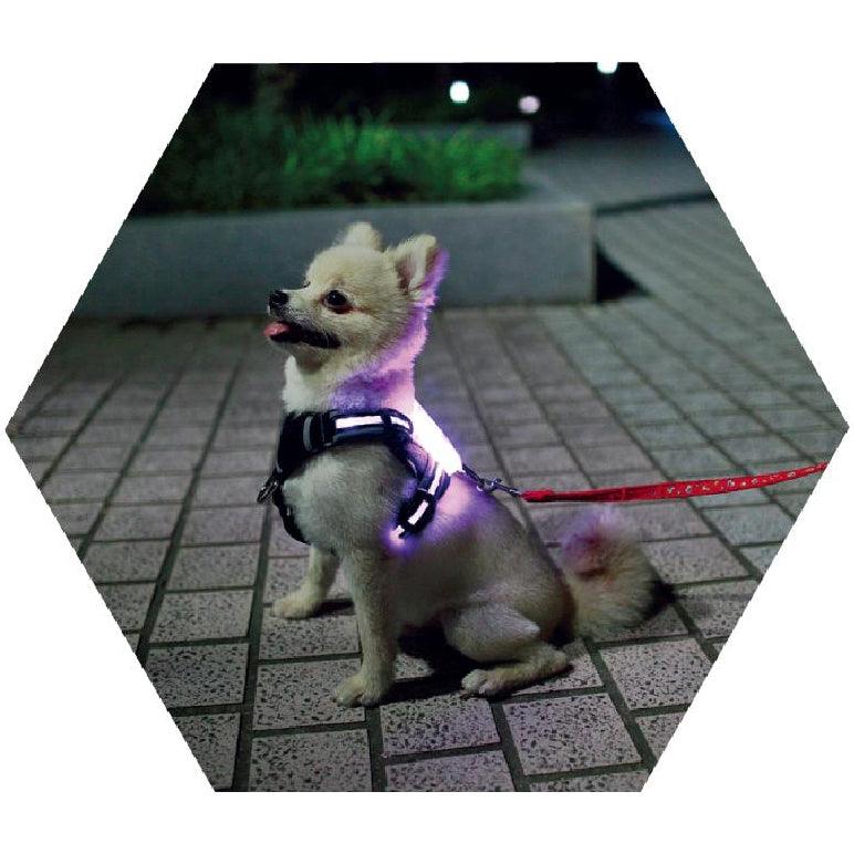 Led Pet Dog Luminous Collar Usb Rechargeable Silicone Collar Luminous Dog Neck Teddy Golden Retriever Large, Medium And Small Collar - Dog Hugs Cat