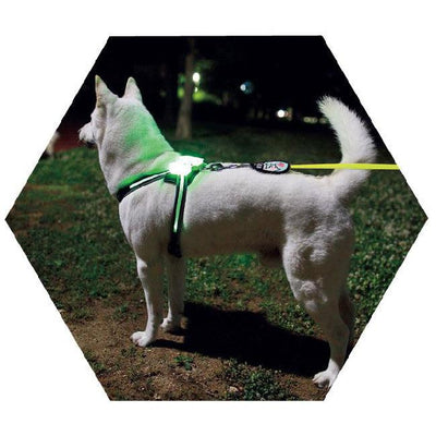 Led Pet Dog Luminous Collar Usb Rechargeable Silicone Collar Luminous Dog Neck Teddy Golden Retriever Large, Medium And Small Collar - Dog Hugs Cat