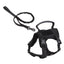 Puppy Cat Clothes Traction Rope Breathable Chest Harness Pet Supplies - Dog Hugs Cat