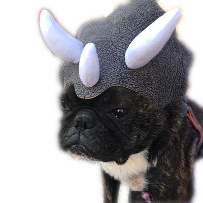 Pet Triceratops Dog Dinosaur Hat Pet Cat Dog Hat Pet Transformation Cap Pet Headgear Costume - Dog Hugs Cat