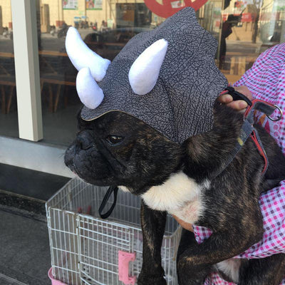 Pet Triceratops Dog Dinosaur Hat Pet Cat Dog Hat Pet Transformation Cap Pet Headgear Costume - Dog Hugs Cat