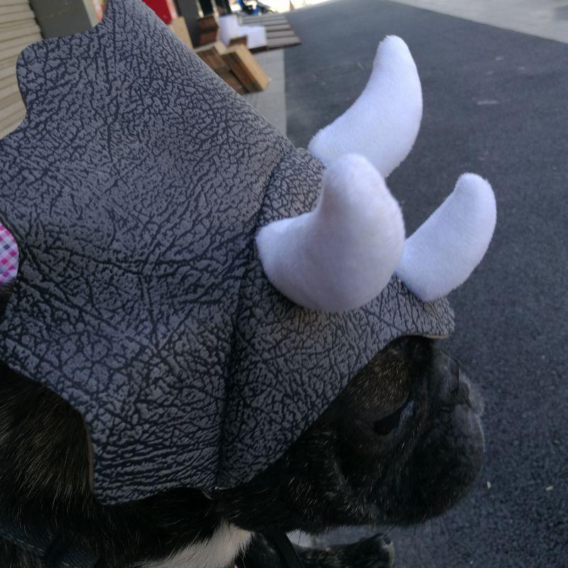 Pet Triceratops Dog Dinosaur Hat Pet Cat Dog Hat Pet Transformation Cap Pet Headgear Costume - Dog Hugs Cat