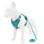 Pet Reflective Nylon Dog Harness - Dog Hugs Cat