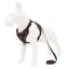 Pet Reflective Nylon Dog Harness - Dog Hugs Cat