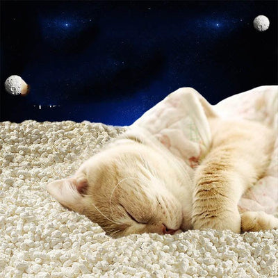 Space Puffed Sand Tofu Cat Litter For Cats - Dog Hugs Cat