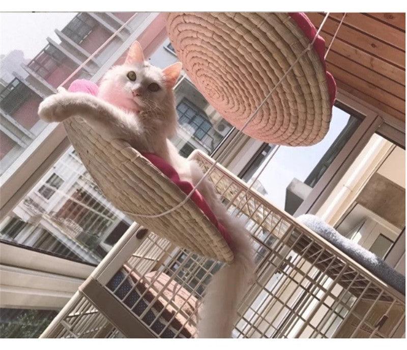 Cat Climbing Frame Cat Litter Cat Tree Cat Jumping Platform Cat Scratching Frame - Dog Hugs Cat