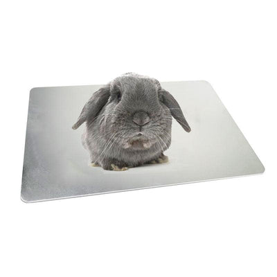 Pet Cooling Plate Aluminum Plate Rabbit Cooling Plate Guinea - Dog Hugs Cat