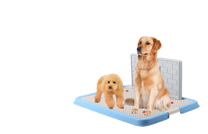 Dog Toilet Puppy Dog Supplies Teddy Dog Urinal Potty Golden Hair Puppies - Dog Hugs Cat