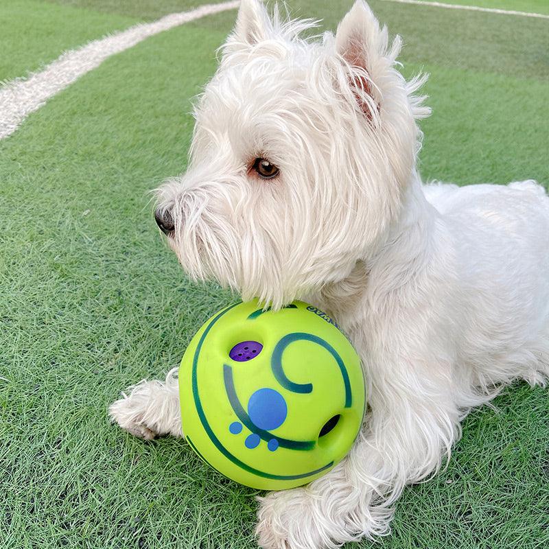 Dog Toy Lovely Paw Football Toys For Puppy Large Dogs - Dog Hugs Cat