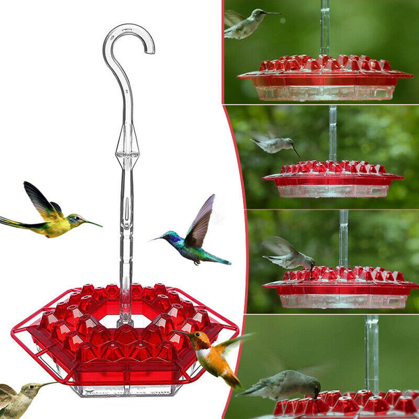 New Flower Hexagonal Bird Feeder Sensation Coneflower Bird Feeder - Dog Hugs Cat