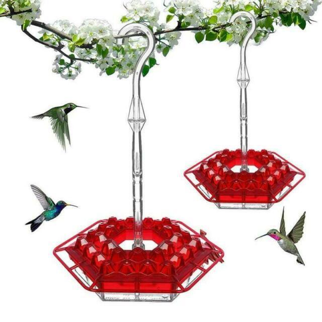 New Flower Hexagonal Bird Feeder Sensation Coneflower Bird Feeder - Dog Hugs Cat