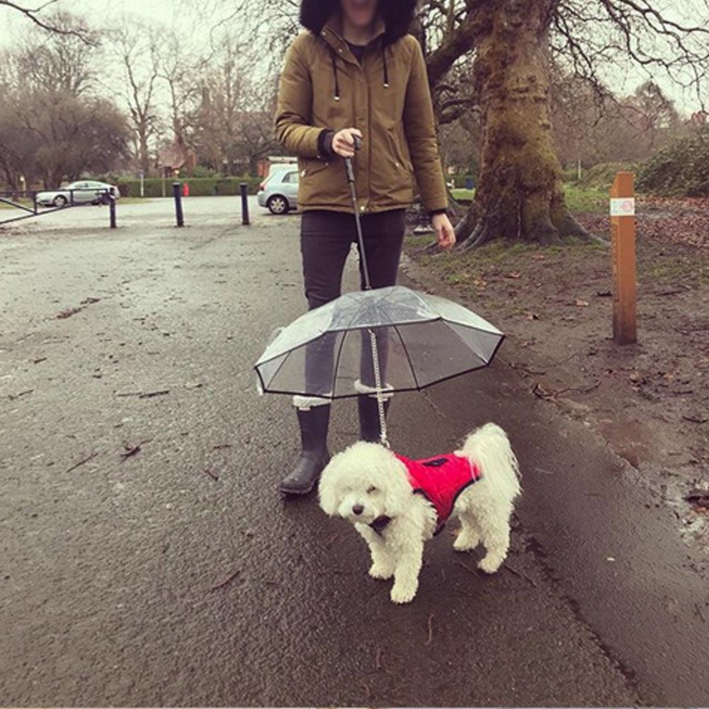 Transparent Pet Umbrella Dog Umbrella Pet Products - Dog Hugs Cat