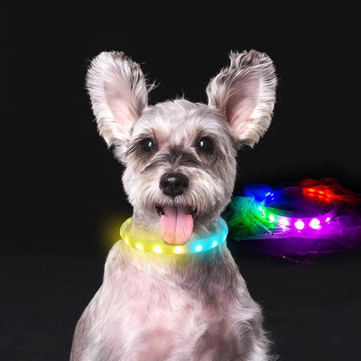 Flash Collar For Dogs Usb Charging Anti-Lost Silicone Necklace Pet Products - Dog Hugs Cat