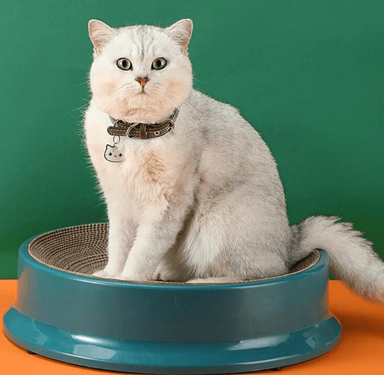 Replaceable Corrugated Paper Scratch Resistant Cat Litter Plastic - Dog Hugs Cat