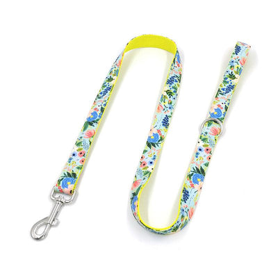 New Dog Leash, Big Dog Leash, Dog Leash, Pet Collar, Medium-Sized Dog, Dog Leash, Dog Chain, Collar Set - Dog Hugs Cat