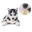 POD Pet Collar Tag Funny Keychain Dog Personalized Puppy Pet Id - Dog Hugs Cat