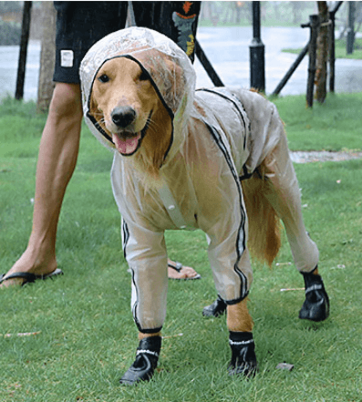 Large Dogs Go Out Waterproof Raincoat - Dog Hugs Cat