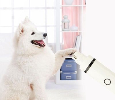 Pets Hair Trimmer Shaver Pet Grooming Tool Electrical Shearing Cutter Dog Haircut Paw Shaver Clipper - Dog Hugs Cat