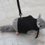 Small Pet Leash - Dog Hugs Cat
