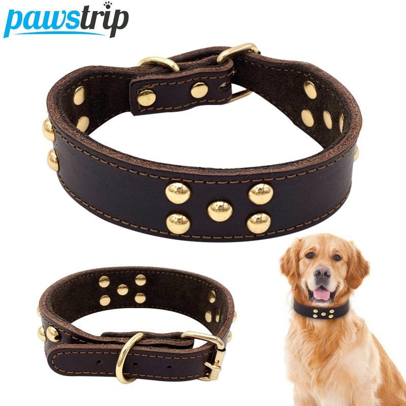 Dog Collar - Dog Hugs Cat