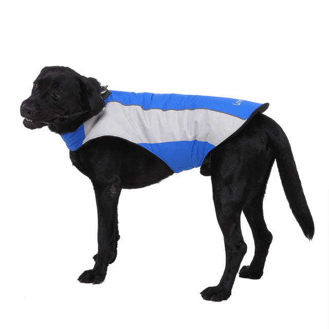 Pet Reflective Clothes - Dog Hugs Cat