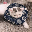 Anti-Scratch And Anti-Licking Soft Headgear Collar - Dog Hugs Cat