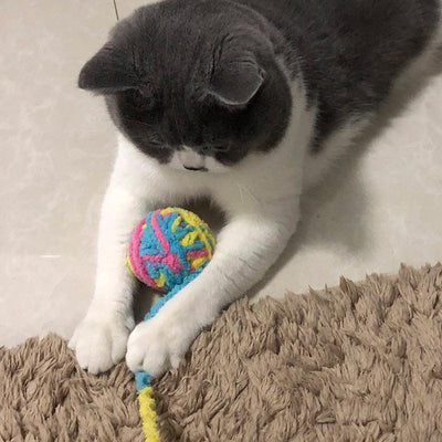 Yarn Ball Cat Toy Funny Cat Stick - Dog Hugs Cat