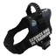 Explosion-Proof Chest Harness Pet Leash - Dog Hugs Cat