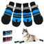 Waterproof Dog Boots For Large - Medium Dogs - Dog Hugs Cat