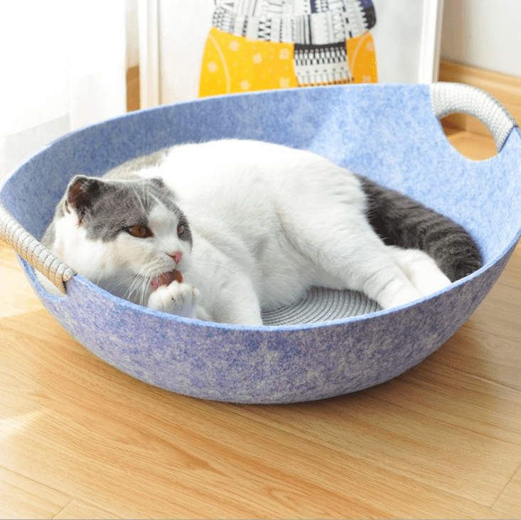 Pet Perch Cat Scratcher Bed House - Dog Hugs Cat