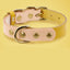 Leather Cat Collar - Dog Hugs Cat