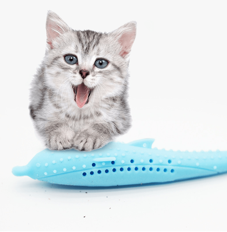 Cat Toothbrush Toy - Dog Hugs Cat