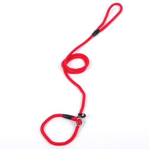 Dog Leash Dog Leash Pet Leash - Dog Hugs Cat