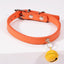 Pet Cat Cat Color Bell Dog Traction Collar - Dog Hugs Cat