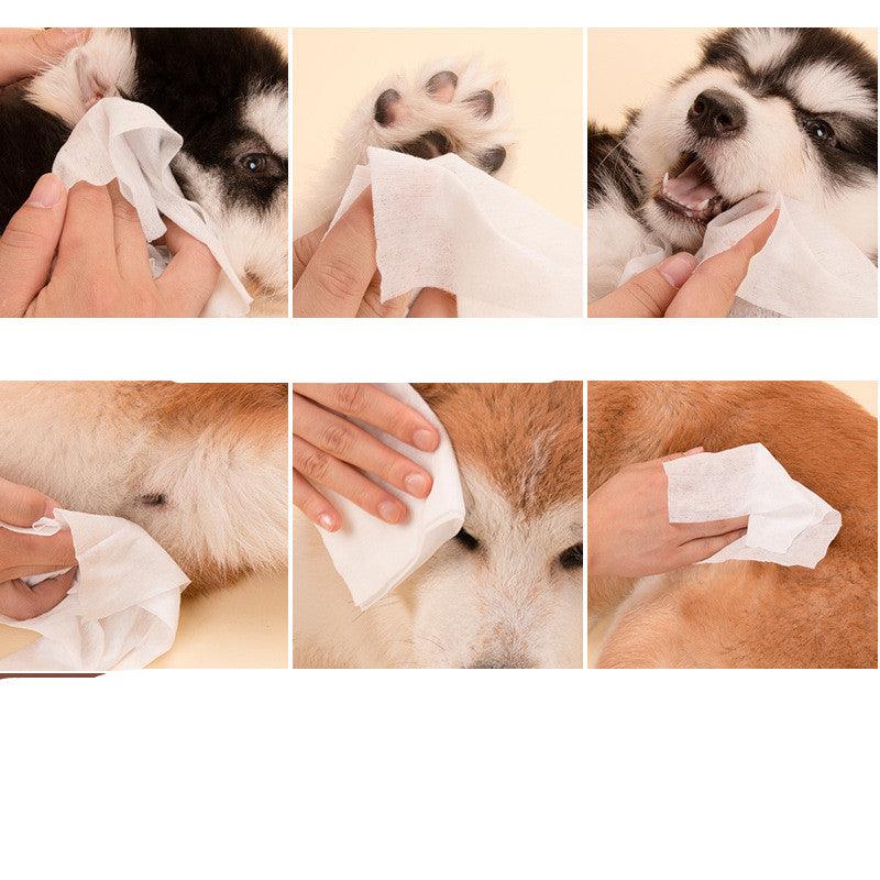 Wet Wipes For Pets - Dog Hugs Cat