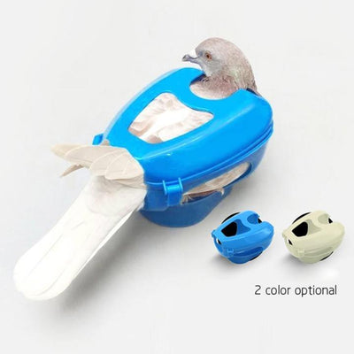 Plastic Racing Pigeon Holder Easy Bird Fixed Frame Rack Medicine Feeder Light Blue - Dog Hugs Cat