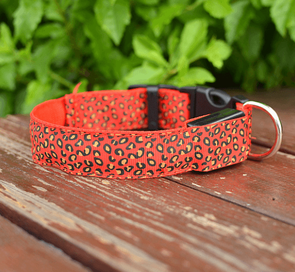 Led Dog Collar Safety Adjustable Nylon Leopard Pet Collar - Dog Hugs Cat