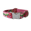 Pet Supplies Dog Collar Pet Leash - Dog Hugs Cat