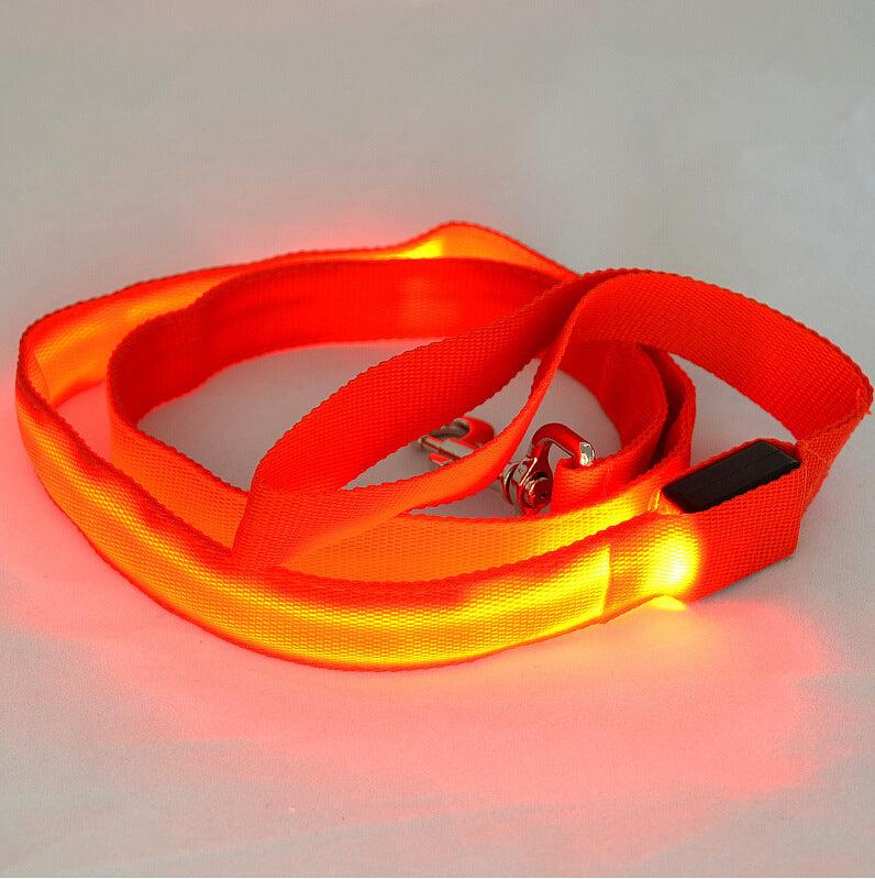 Glowing Pet Leash Glowing Dog Led - Dog Hugs Cat