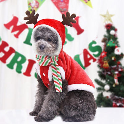 Dog Christmas Pet Supplies Clothes - Dog Hugs Cat
