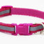Fluorescent Dog Collar - Dog Hugs Cat